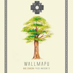 Wallmapu (feat. BIG CHACHI) (Explicit)
