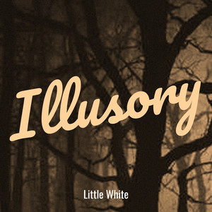 Illusory