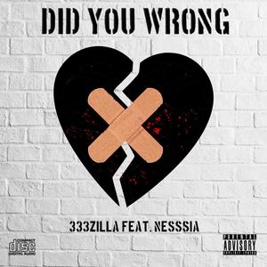 Did You Wrong (feat. Nesssia) [Explicit]