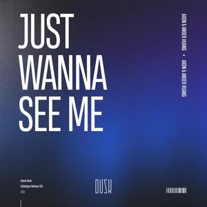 Just Wanna See Me (Extended Mix)