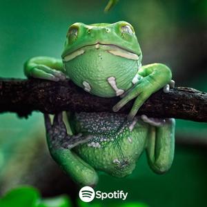 Vem Perereca (MTG) #Favebala (feat. DJ Crocker) (FUNK BH)