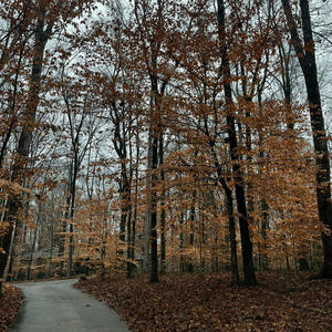 Stone Cold (feat. Yu$e) (REMIX|Explicit)