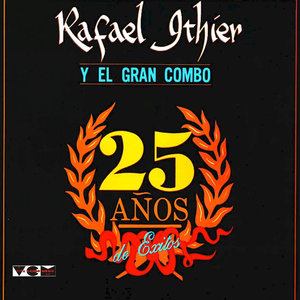 25 Años de Exitos