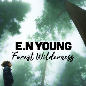 E.N Young - Nature Lift