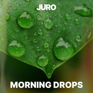 Morning Drops