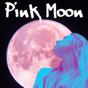 Pink Moon (feat. Love Me in the Dark)