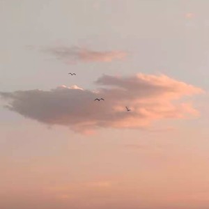 给爸爸妈妈的一首歌