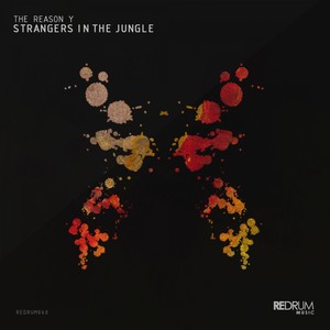 Strangers in the Jungle