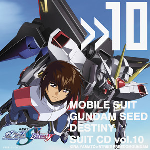 Mobile Suit Gundam Seed Destiny Suit Vol.10 Kira Yamato × Strike Freedomgundom