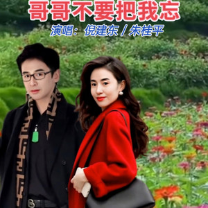 哥哥不要把我忘