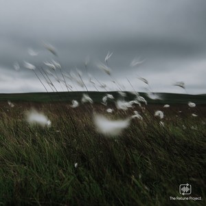 The Way The Wind Blows