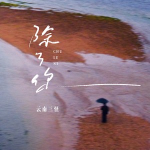 除了你 (温柔版)封面