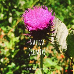 Nativa (feat. Ph4nt0m, Zaxxy, Drahzy & Lady Lee) (Remix|Explicit)