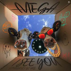Mega - I See You (Explicit)