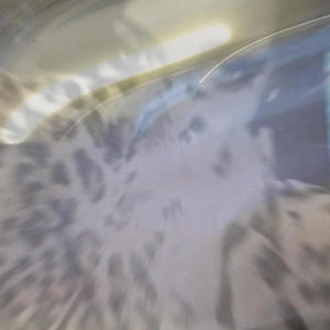 UnderDog (feat. o2Kai) (Explicit)