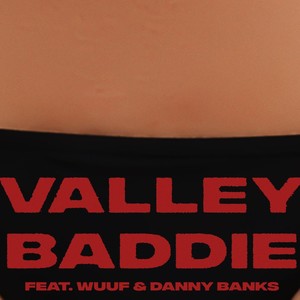 Valley Baddie (feat. WuuF & Danny Banks) [Explicit]