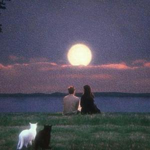 Trench Rizzy - Without You (Explicit)