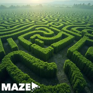 Maze