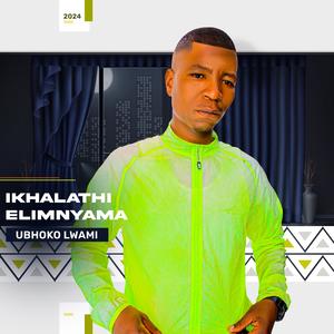 UNonkotileka (feat. Gearbox Mtshali)