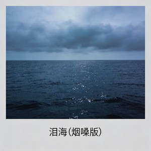泪海 (烟嗓版)