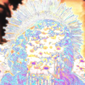 MossGrowsWhereWeUsedtoLay