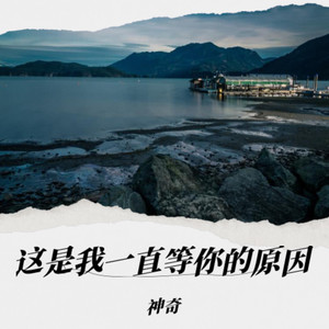 这就是我一直等你的原因