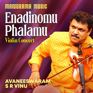 Enadinomu Phalamu (Carnatic Classical Instrumental)