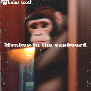 Monkey In The Cupboard (Explicit)