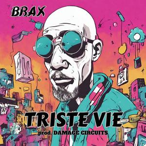 Triste Vie (feat. Damage Circuits) [Explicit]