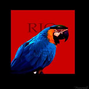 Rio (Explicit)