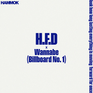 H.F.D. x Wannabe (Billboard No. 1) [Explicit]