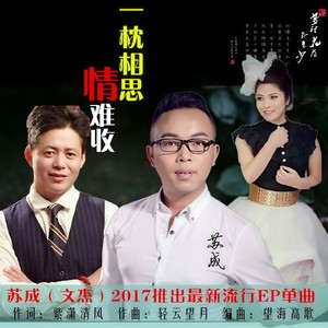 一枕相思情难收
