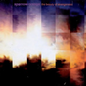 Sponge City Level 12