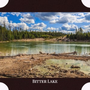 Bitter Lake