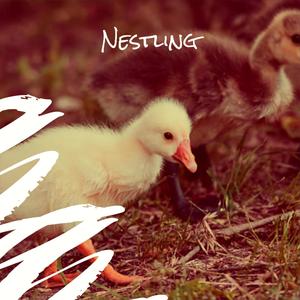 Nestling