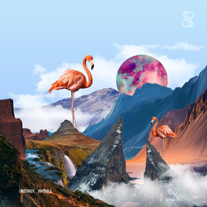 Out of Sight (Rony Seikaly Remix)