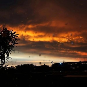 是非题-Dr.Phonk&古拉