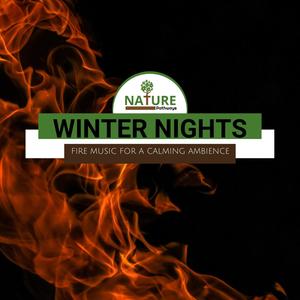 Winter Nights - Fire Music for A Calming Ambience