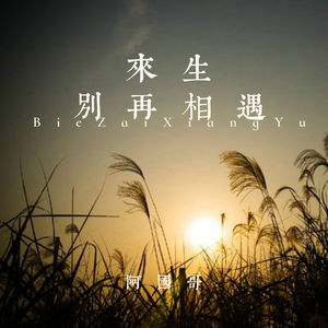 来生别再相遇 (粤语版)
