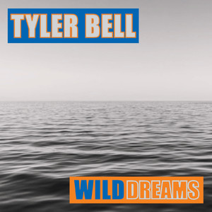 Wild Dreams (Explicit)