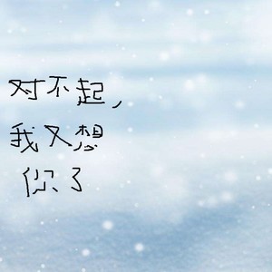 对不起，我又想你了