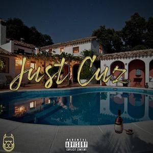 Just Cuz (Explicit)