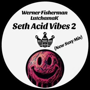 Seth Acid Vibes 2 (New Sexy Mix)