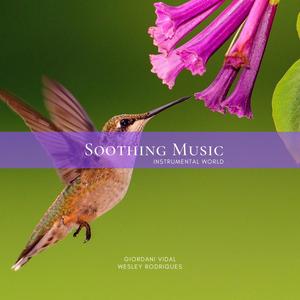 Soothing Music - Instrumental World. Vol. 6