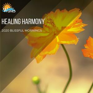 Power of Healing