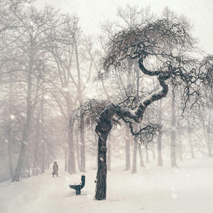 Cold (Extended Version)