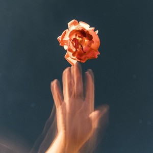 这世界那么多人