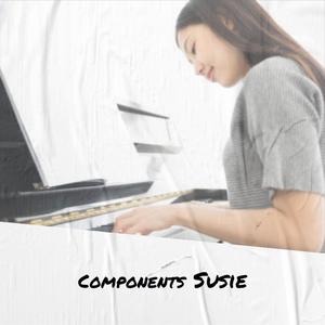 Components Susie