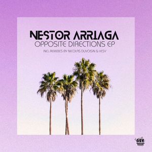 Opposite Directions (Nicolas Duvoisin Remix)