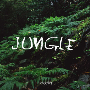 Jungle